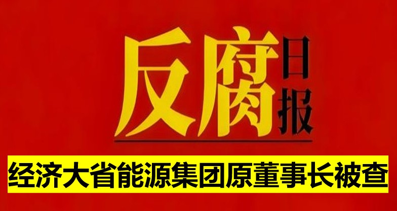 經濟大省能源集團原董事長被查！